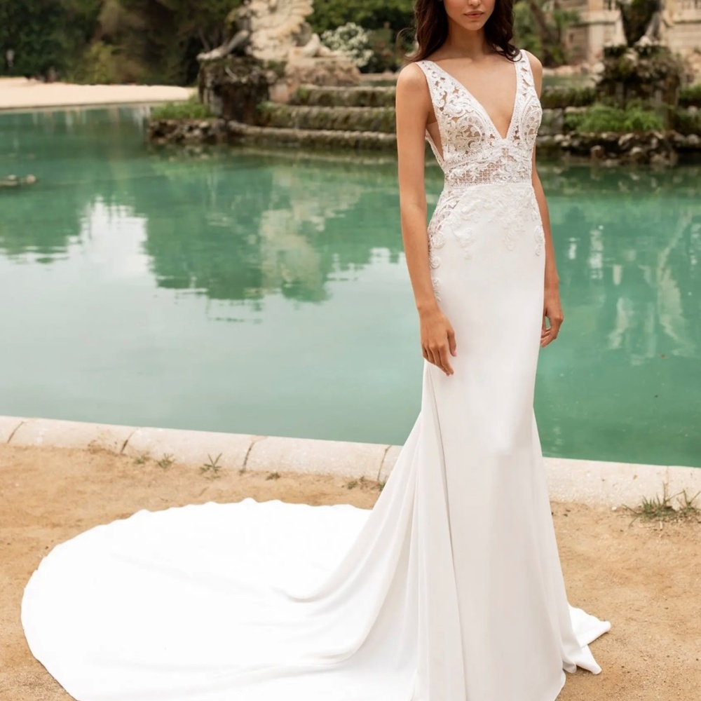Pronovias Wedding Dress - Picture 11 of 13